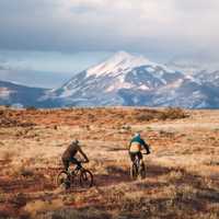 Moab Brands / Bar-M