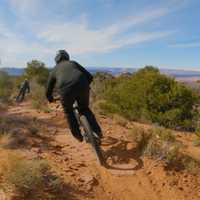 Flying Porcupine
