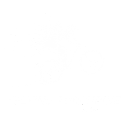 Flying Porcupine