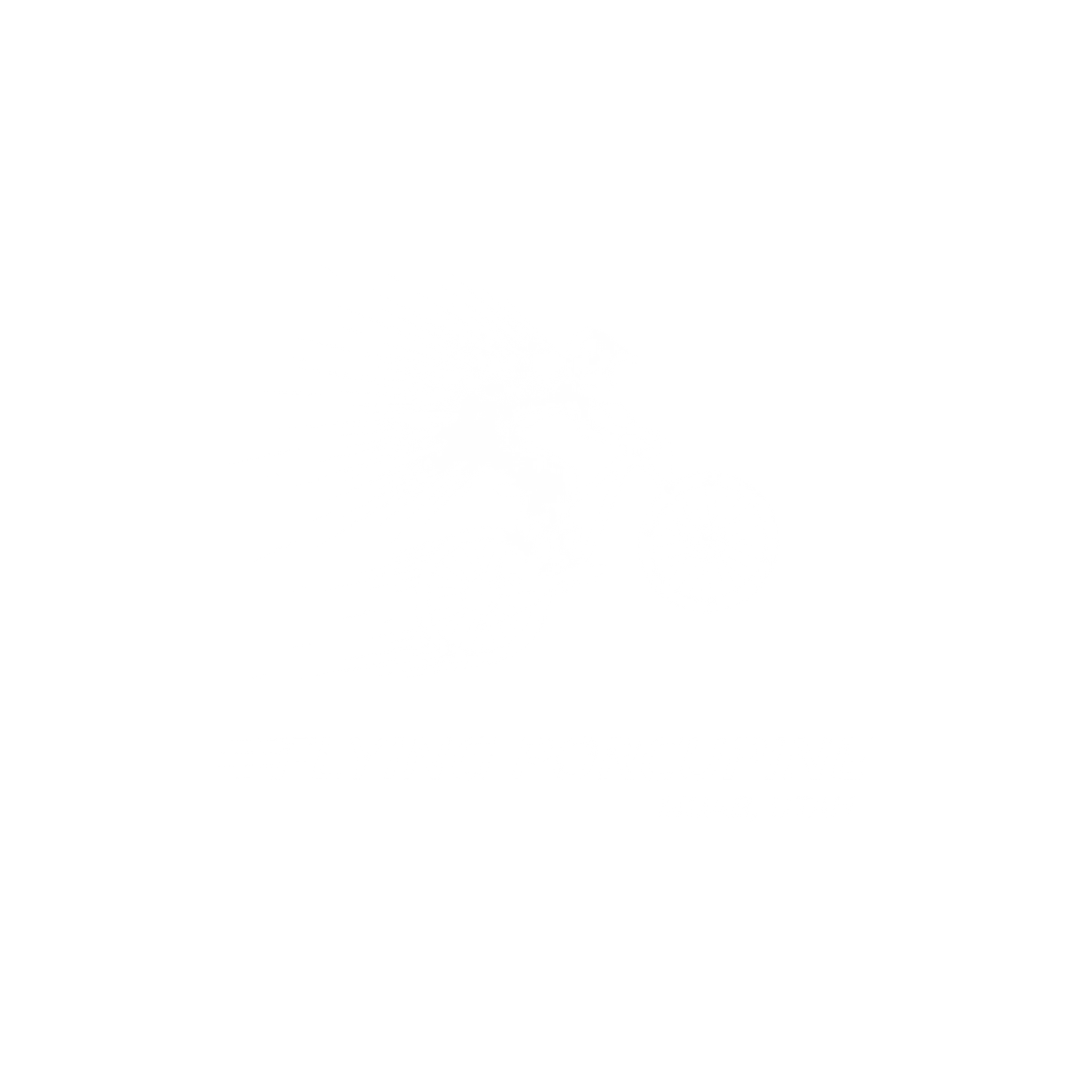 Flying Porcupine