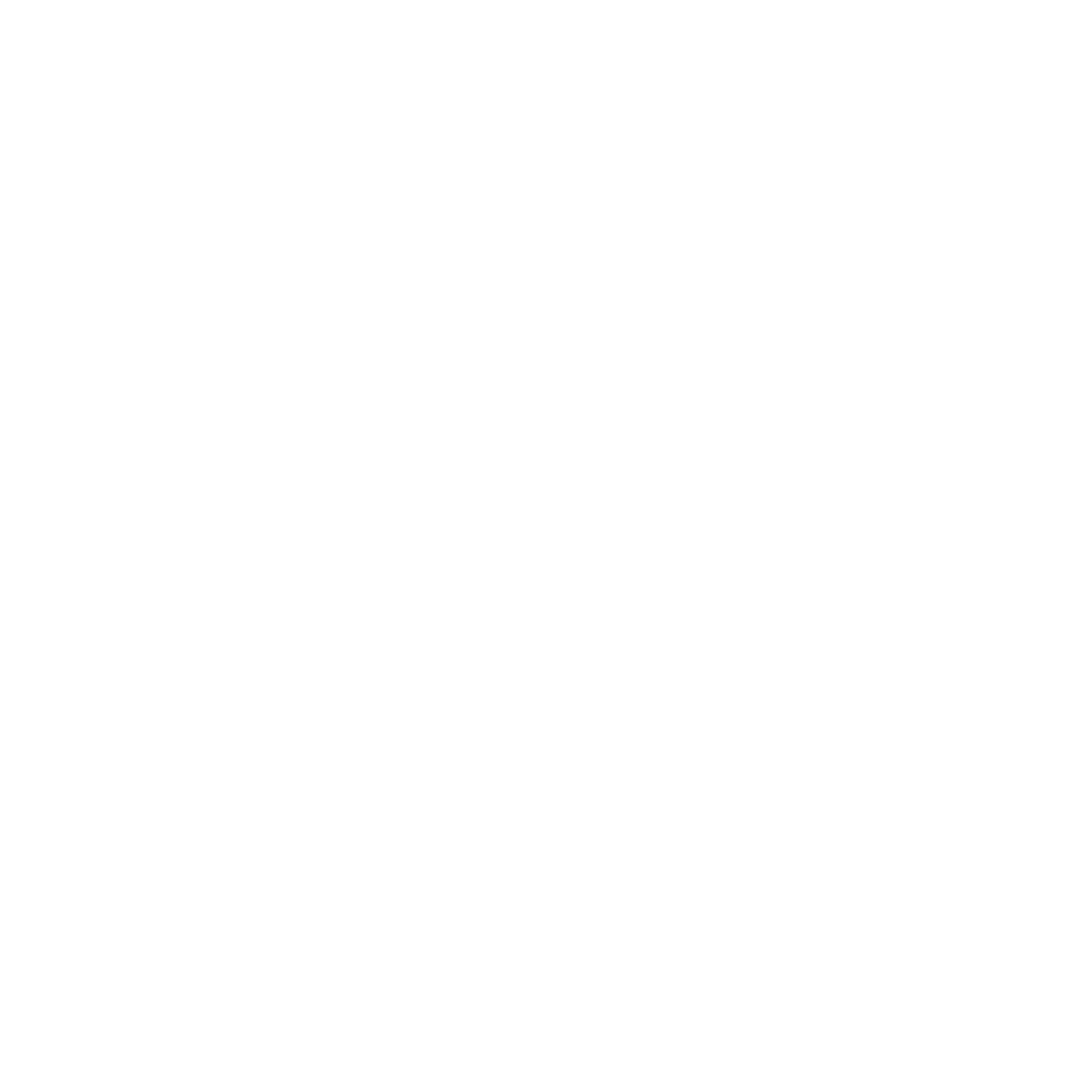 Flying Porcupine