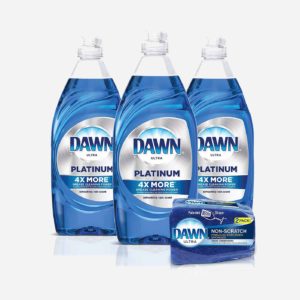 Dawn Liquid Soap + Sponge